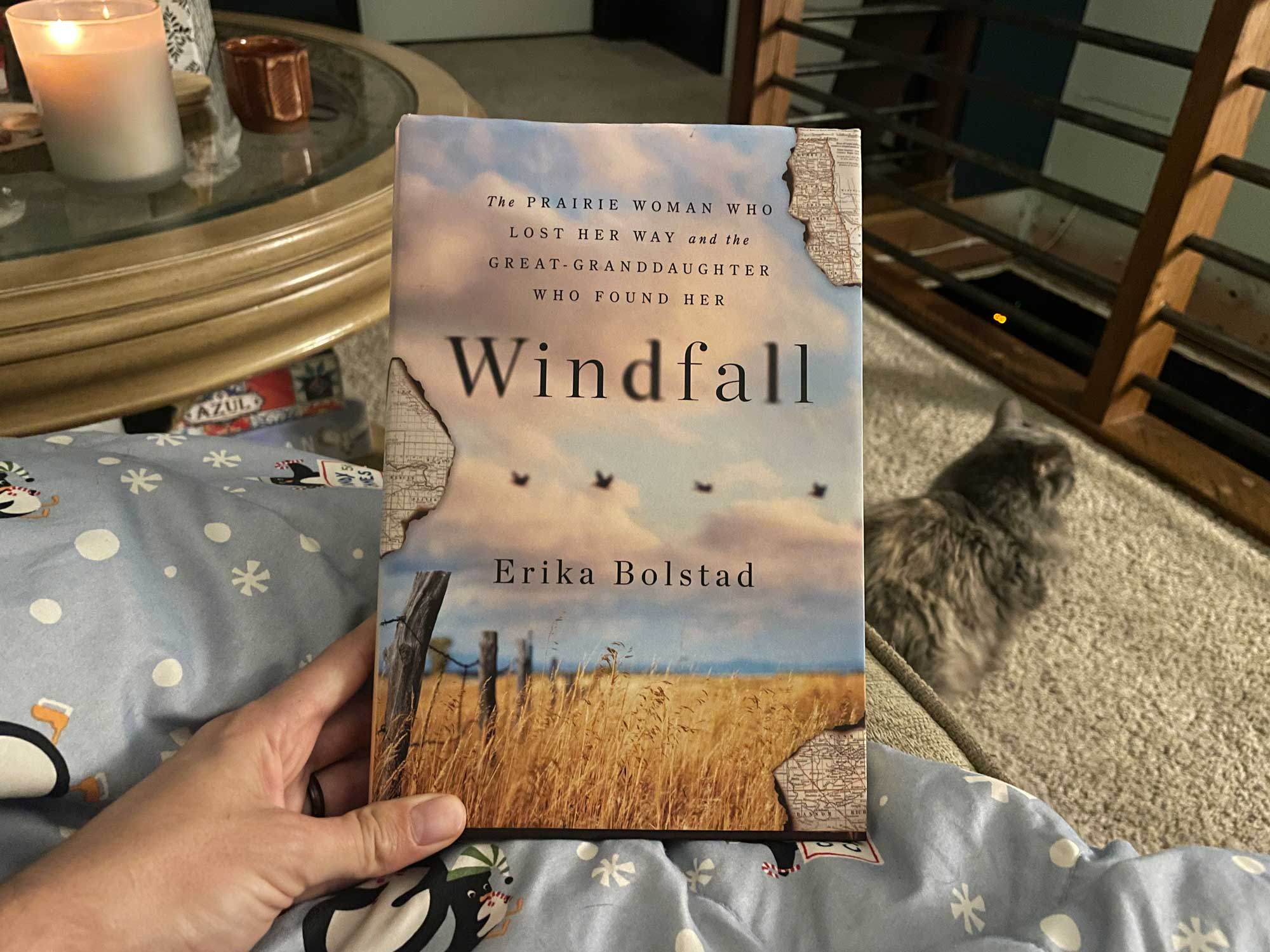 The cover of a book titled Windfall being held on a blanket, with a cat and a candle in the background.