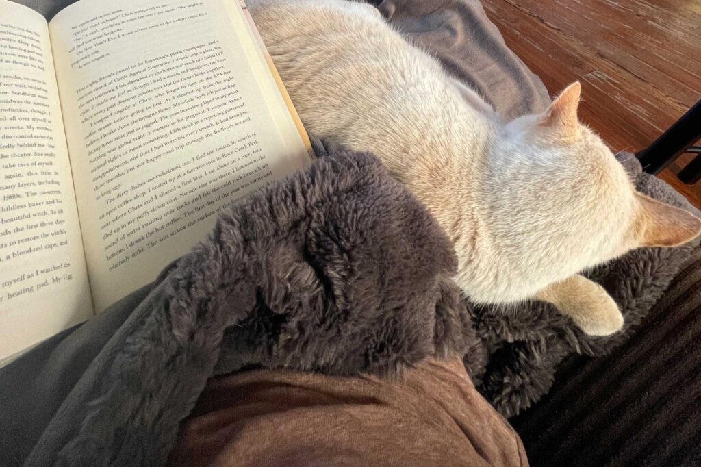 open book with brown blanket and a white cat